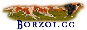 Borzoi.cc - information about the Borzoi breed